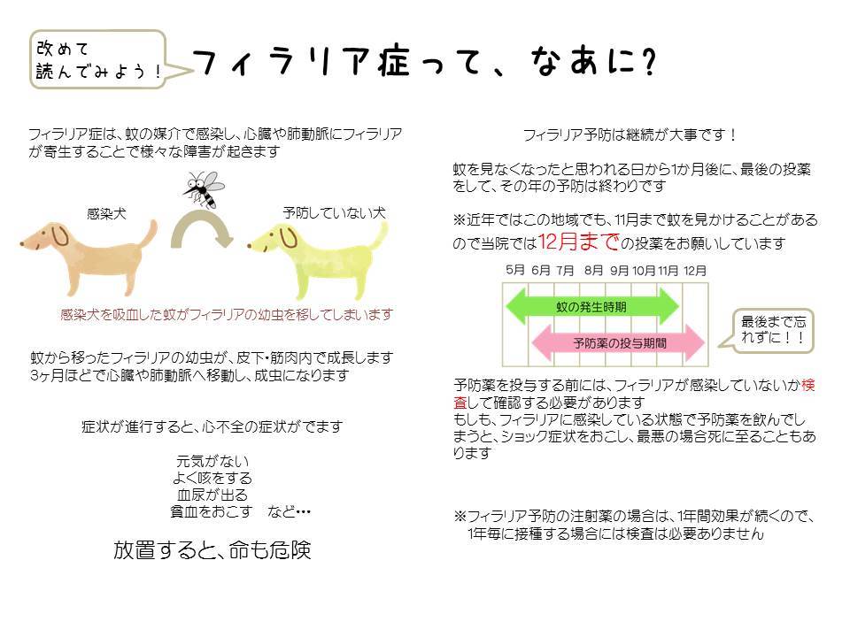 滋賀県長浜市の動物病院 長浜どうぶつ病院|夜間救急24時まで対応