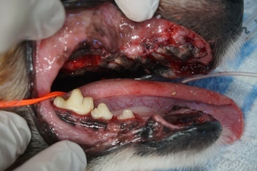 DSC00038_コピー_コピー