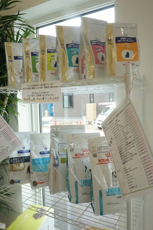 DSC04819_コピー_コピー