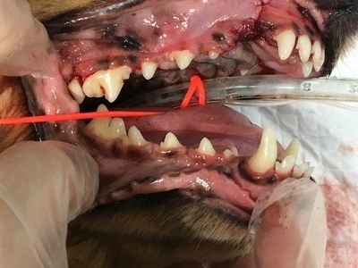 8DCD0376-0E50-4DD2-AA85-AF2644DFEDD3_コピー_コピー