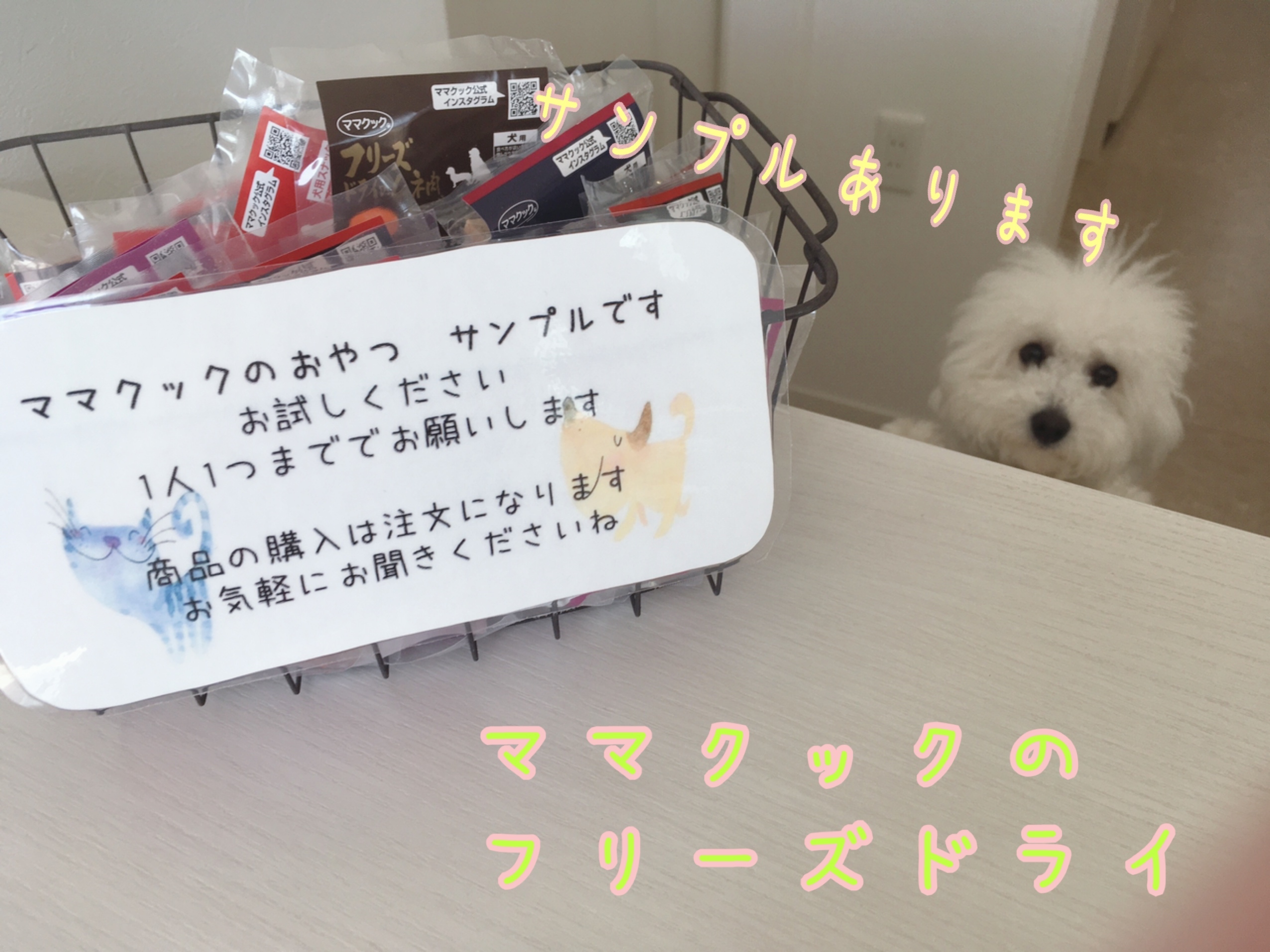 B922E241-C759-4F22-ADB8-3BD003DBFF50