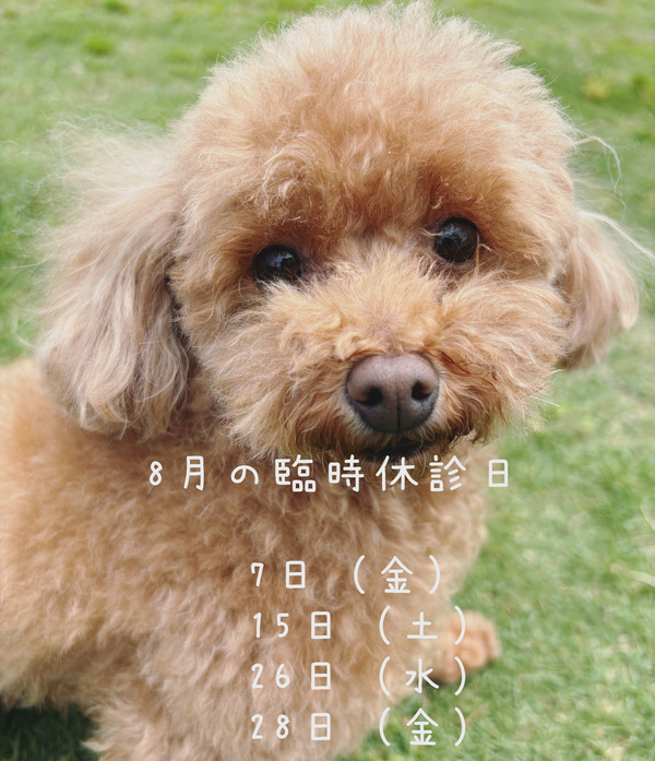 6F82CA7F-3EF8-4BD1-8318-9B2FC4E62D99_コピー